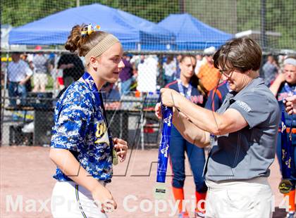 Thumbnail 1 in Liverpool vs. East Meadow (NYSPHSAA Class AA Final) photogallery.