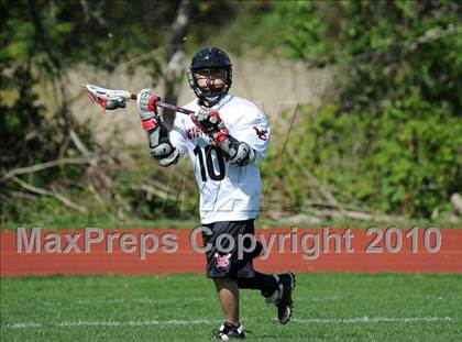 Thumbnail 1 in Wheeler @ Wilbur Cross photogallery.