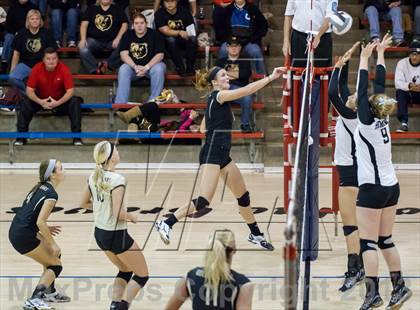 Thumbnail 3 in Shelbyville vs Beech Grove (IHSAA 3A Sectional Round 1) photogallery.