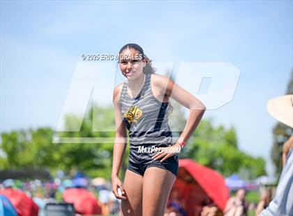 Thumbnail 2 in West Coast Relays (Field Events) photogallery.