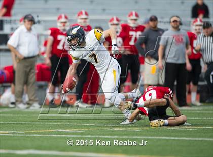 Thumbnail 3 in Central Catholic vs. Cumberland Valley (PIAA Class AAAA Semifinal) photogallery.