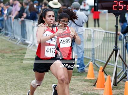 Thumbnail 1 in CIF Central Section Cross Country Championships (Girls D4 Race) photogallery.