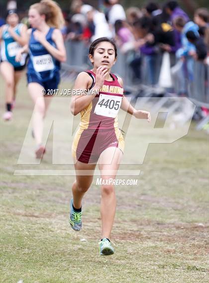 Thumbnail 1 in CIF Central Section Cross Country Championships (Girls D4 Race) photogallery.