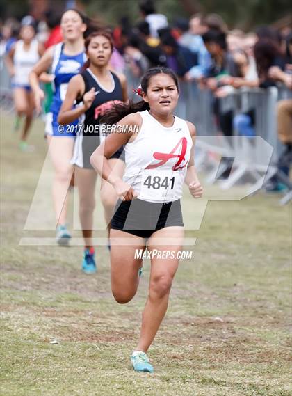 Thumbnail 3 in CIF Central Section Cross Country Championships (Girls D4 Race) photogallery.