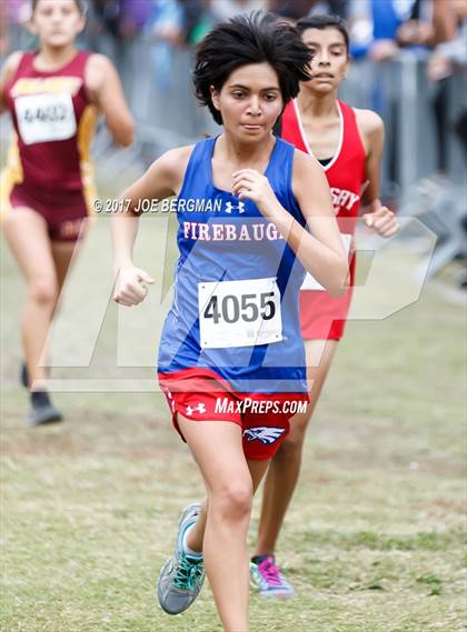 Thumbnail 2 in CIF Central Section Cross Country Championships (Girls D4 Race) photogallery.