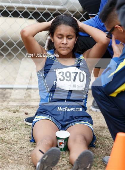 Thumbnail 2 in CIF Central Section Cross Country Championships (Girls D4 Race) photogallery.