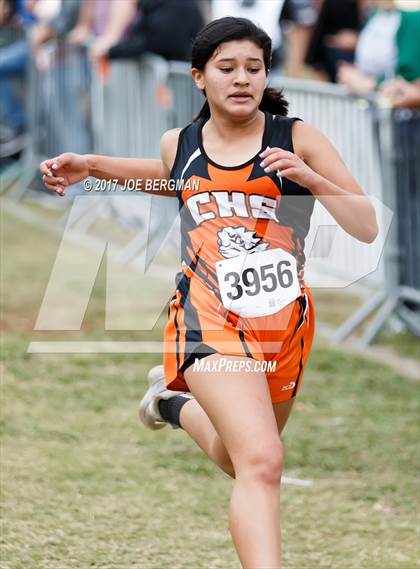 Thumbnail 1 in CIF Central Section Cross Country Championships (Girls D4 Race) photogallery.