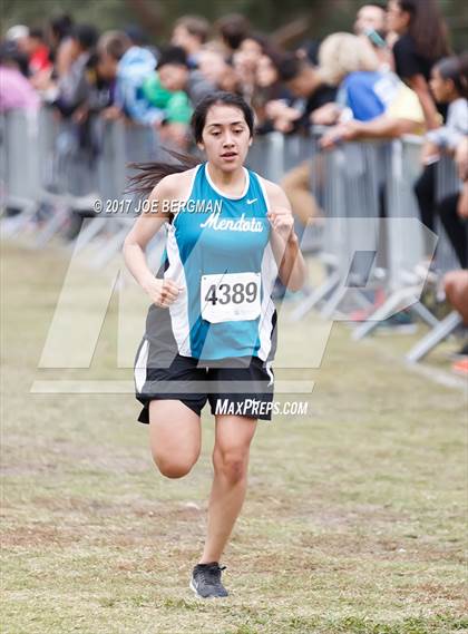 Thumbnail 3 in CIF Central Section Cross Country Championships (Girls D4 Race) photogallery.