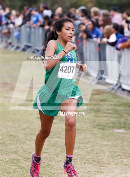 Thumbnail 3 in CIF Central Section Cross Country Championships (Girls D4 Race) photogallery.