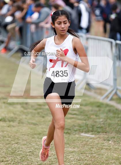 Thumbnail 1 in CIF Central Section Cross Country Championships (Girls D4 Race) photogallery.