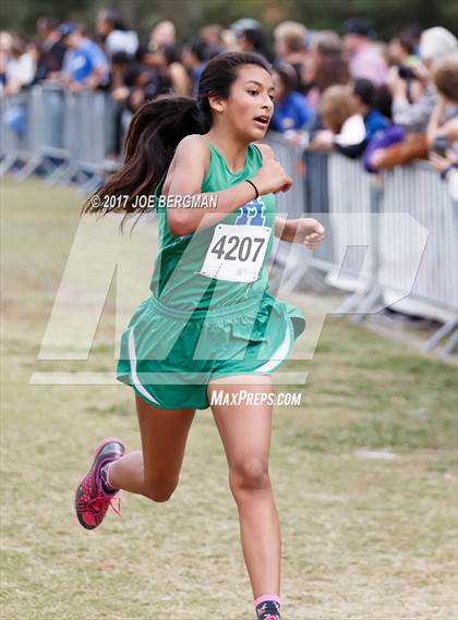 Thumbnail 1 in CIF Central Section Cross Country Championships (Girls D4 Race) photogallery.