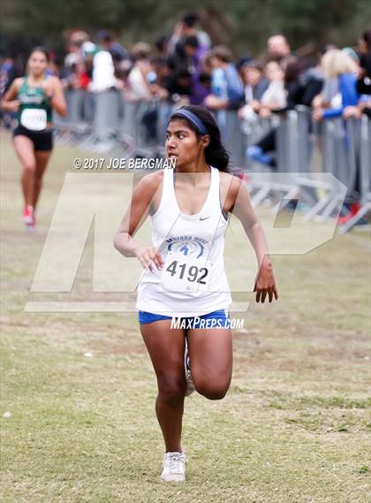 Thumbnail 1 in CIF Central Section Cross Country Championships (Girls D4 Race) photogallery.