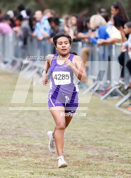 Thumbnail 1 in CIF Central Section Cross Country Championships (Girls D4 Race) photogallery.