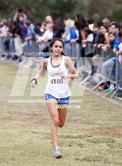 Thumbnail 2 in CIF Central Section Cross Country Championships (Girls D4 Race) photogallery.