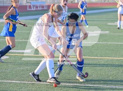 Thumbnail 1 in Mira Mesa @ Clairemont photogallery.