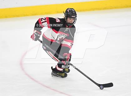 Thumbnail 2 in Branford vs. Woodstock Academy (CIAC DII Semifinal) photogallery.
