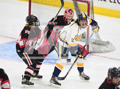 Thumbnail 1 in Branford vs. Woodstock Academy (CIAC DII Semifinal) photogallery.