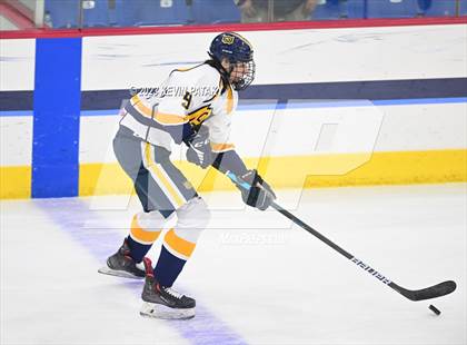Thumbnail 2 in Branford vs. Woodstock Academy (CIAC DII Semifinal) photogallery.