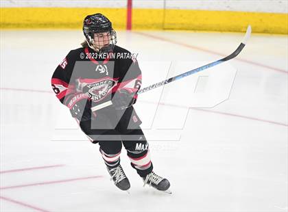Thumbnail 3 in Branford vs. Woodstock Academy (CIAC DII Semifinal) photogallery.