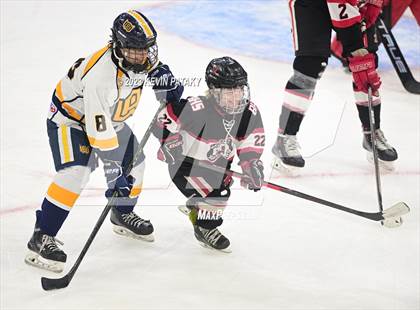 Thumbnail 2 in Branford vs. Woodstock Academy (CIAC DII Semifinal) photogallery.