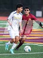 Photo from the gallery "Newark Memorial @ Menlo-Atherton"