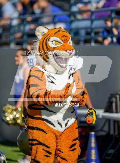 Thumbnail 1 in Grandview vs. Rockdale (UIL 3A D1 Bi-District) photogallery.
