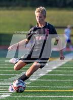 Photo from the gallery "Fowlerville @ Pinckney"