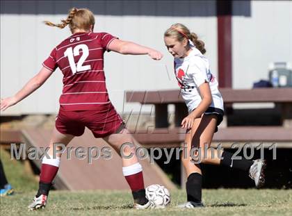 Thumbnail 2 in Maryville vs. Dobyns-Bennett (Bearden Invitational) photogallery.