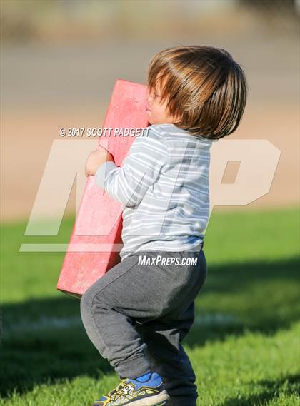 Thumbnail 3 in Great Oak @ Serrano photogallery.