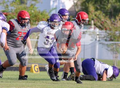 Thumbnail 2 in Hernando @ Springstead  photogallery.
