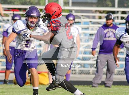 Thumbnail 2 in Hernando @ Springstead  photogallery.
