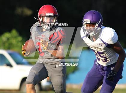 Thumbnail 1 in Hernando @ Springstead  photogallery.