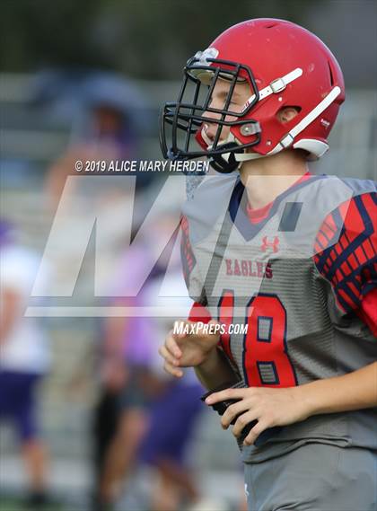 Thumbnail 2 in Hernando @ Springstead  photogallery.