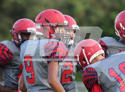 Thumbnail 3 in Hernando @ Springstead  photogallery.