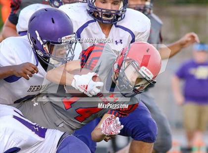 Thumbnail 2 in JV: Hernando @ Springstead  photogallery.