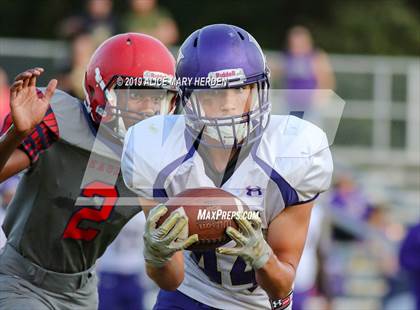 Thumbnail 3 in Hernando @ Springstead  photogallery.