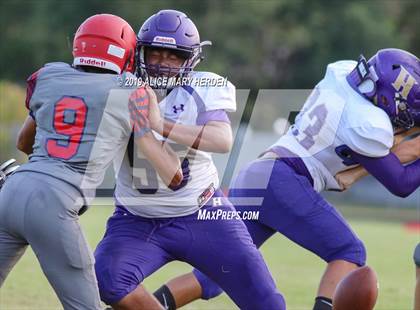 Thumbnail 3 in Hernando @ Springstead  photogallery.