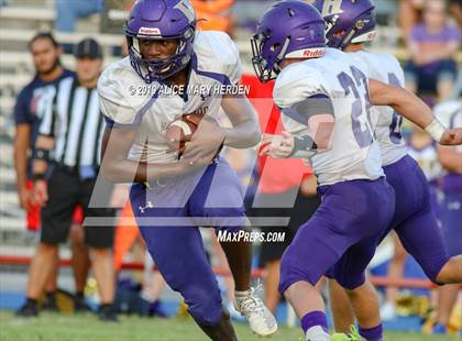 Thumbnail 2 in Hernando @ Springstead  photogallery.