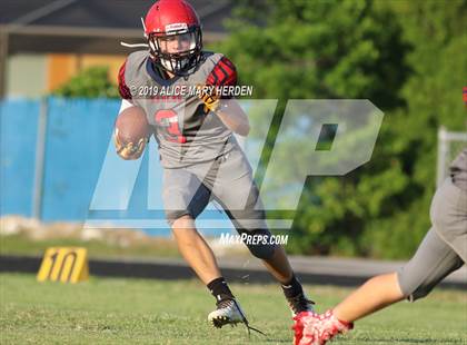 Thumbnail 2 in Hernando @ Springstead  photogallery.