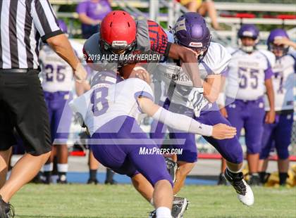Thumbnail 2 in Hernando @ Springstead  photogallery.