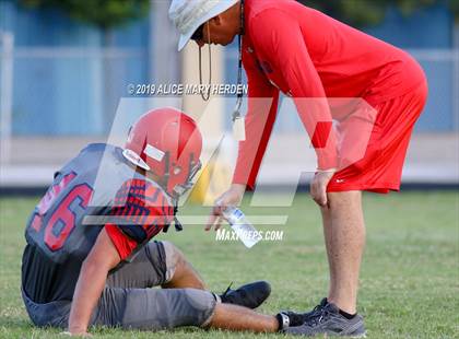 Thumbnail 1 in Hernando @ Springstead  photogallery.