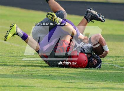 Thumbnail 2 in Hernando @ Springstead  photogallery.