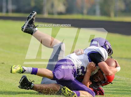 Thumbnail 1 in Hernando @ Springstead  photogallery.