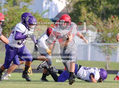 Thumbnail 1 in Hernando @ Springstead  photogallery.