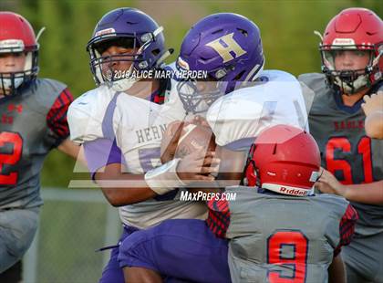 Thumbnail 3 in Hernando @ Springstead  photogallery.