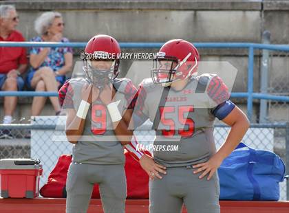 Thumbnail 2 in Hernando @ Springstead  photogallery.
