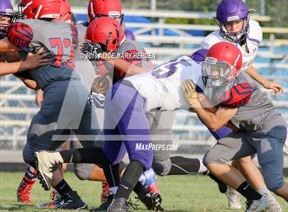 Thumbnail 1 in Hernando @ Springstead  photogallery.