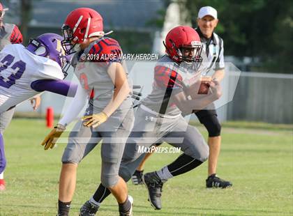 Thumbnail 3 in Hernando @ Springstead  photogallery.