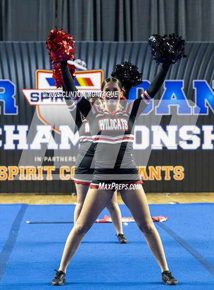 Thumbnail 2 in Morenci - Cheer (AIA Division IV Prelims) photogallery.