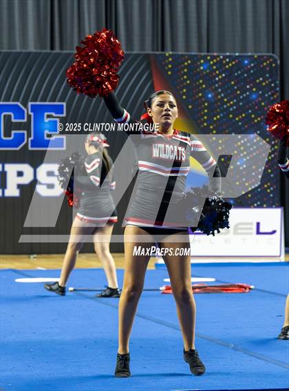 Thumbnail 2 in Morenci - Cheer (AIA Division IV Prelims) photogallery.